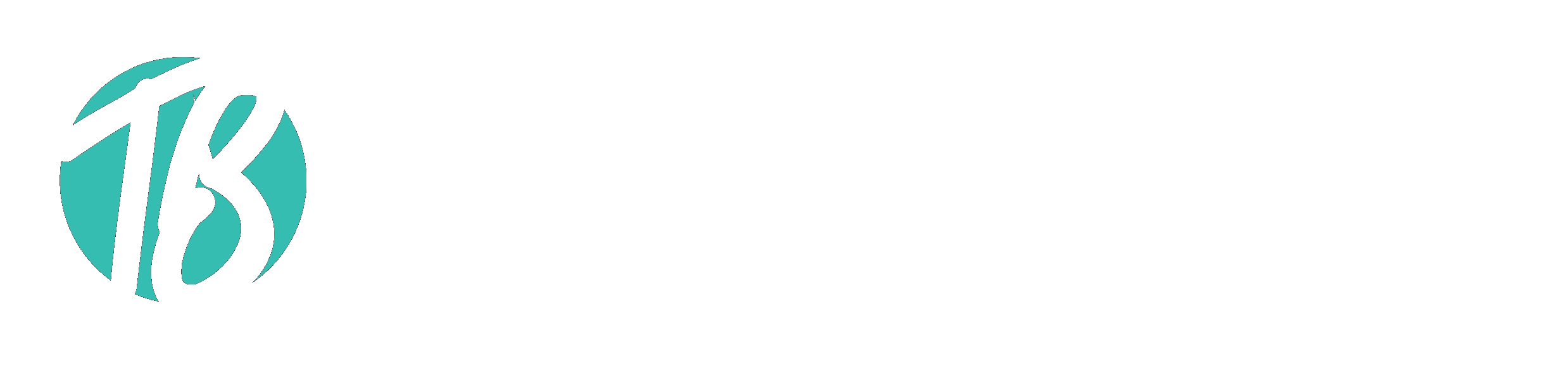 TB Productions